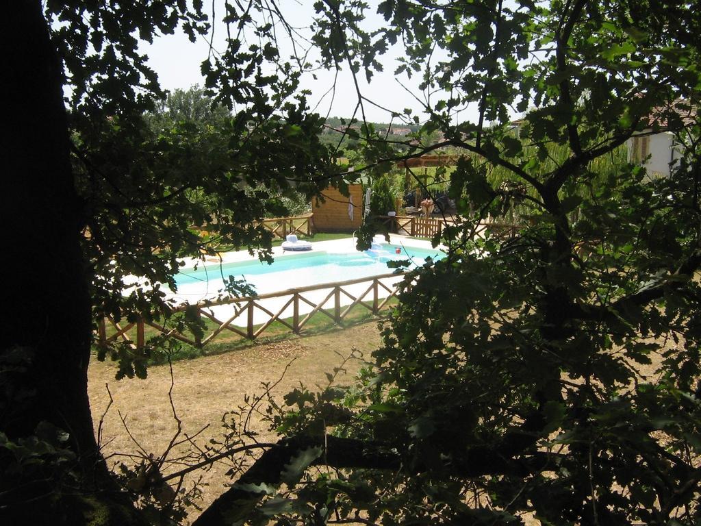 Agriturismo Le Baccane Vinci Ngoại thất bức ảnh