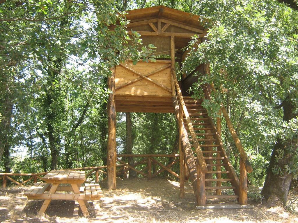 Agriturismo Le Baccane Vinci Ngoại thất bức ảnh