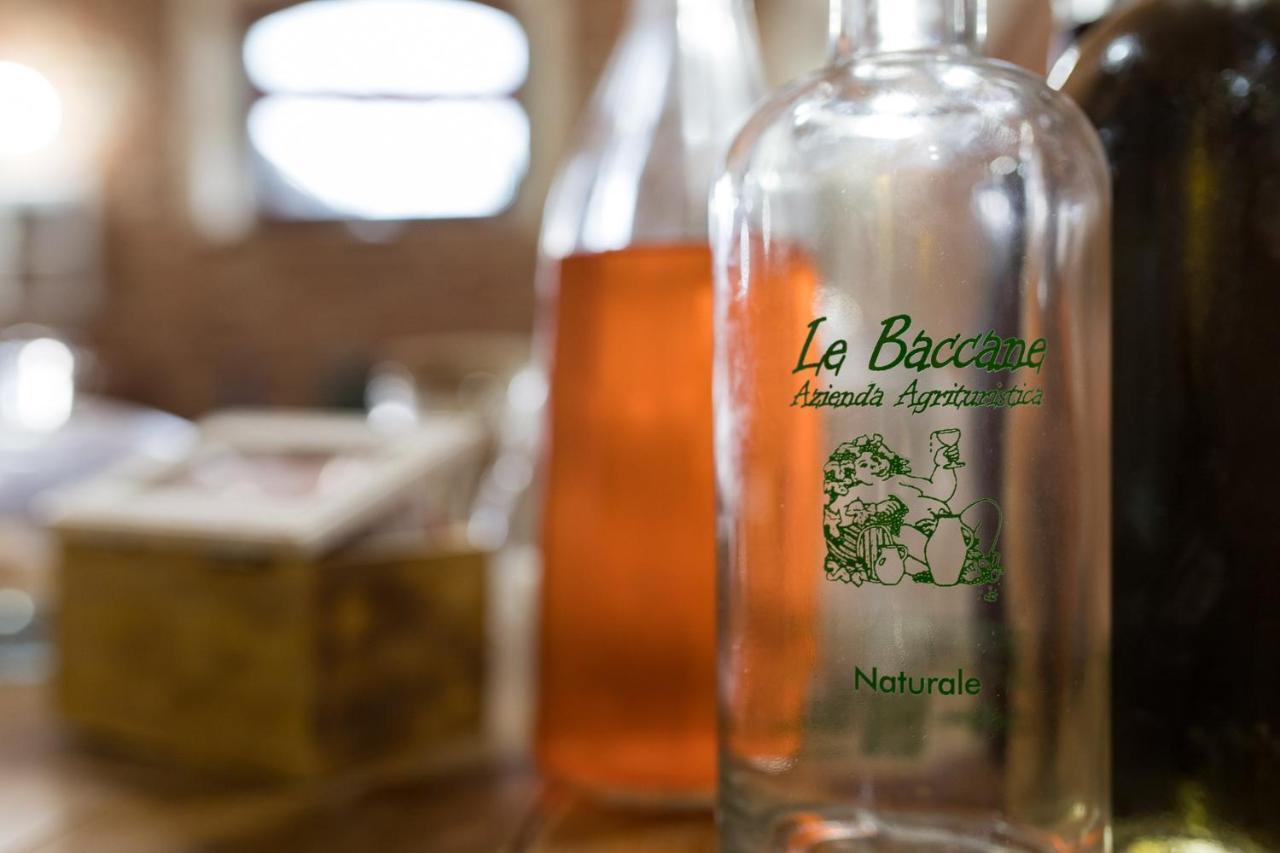 Agriturismo Le Baccane Vinci Ngoại thất bức ảnh